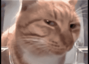Rate Limit Exceeded